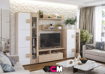 Стенка Афина модульная (СтендМ) в Советском - sovetskij.mebel-e96.ru