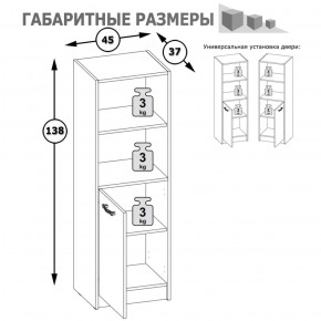 Стеллаж две ниши и дверка Альфа 09.135 солнечный свет в Советском - sovetskij.mebel-e96.ru