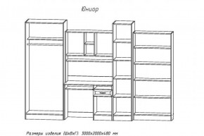 Детский комплекс Юниор (АстридМ) в Советском - sovetskij.mebel-e96.ru