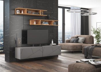 Стенка Гранж модульная (Стиль) в Советском - sovetskij.mebel-e96.ru