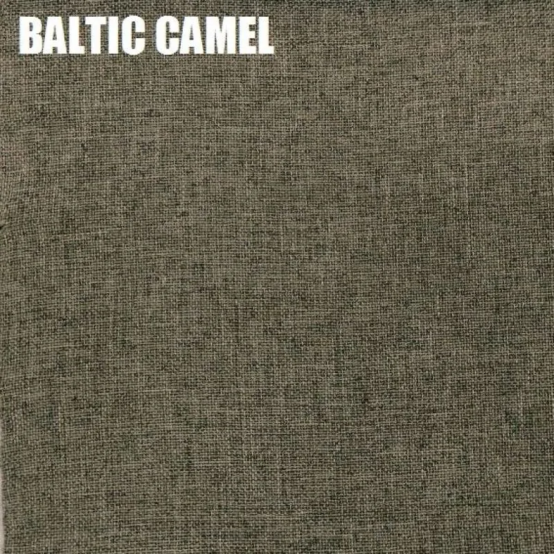 Диван-кровать Комфорт без подлокотников BALTIC CAMEL (2 подушки) в Советском - sovetskij.mebel-e96.ru