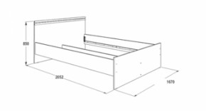 Кровать с ящиками Ольга-13 (1600) в Советском - sovetskij.mebel-e96.ru