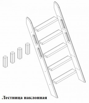 Кровать Сонечка 2-х ярусная (модульная) в Советском - sovetskij.mebel-e96.ru