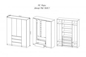 Шкаф распашной Мори 1600 мм графит (ДСВ) в Советском - sovetskij.mebel-e96.ru