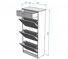 Обувница W23 (ДСС-Белый) в Советском - sovetskij.mebel-e96.ru