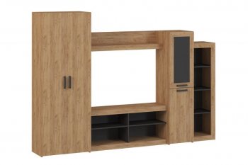 Стенка OSKAR4 (Генезис) в Советском - sovetskij.mebel-e96.ru