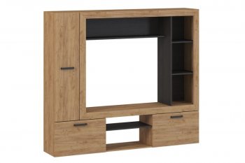 Стенка OSKAR3 (Генезис) в Советском - sovetskij.mebel-e96.ru