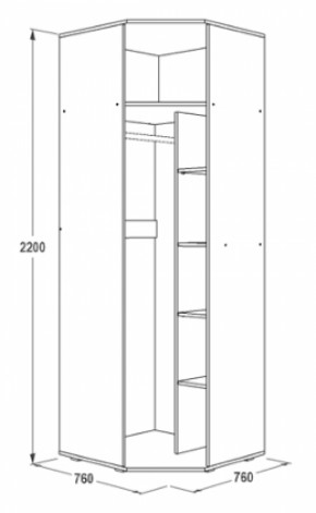 Шкаф 1-но дверный угловой Ольга-14 (760*760) в Советском - sovetskij.mebel-e96.ru