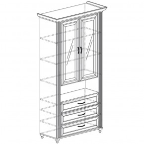 Шкаф МЦН Ралли 861 (Яна) в Советском - sovetskij.mebel-e96.ru