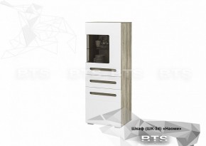 Шкаф ШК-24 Наоми 600 мм (БТС) в Советском - sovetskij.mebel-e96.ru