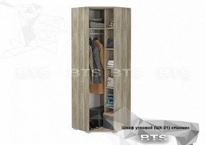 Шкаф угловой ШК-21 Наоми (БТС) в Советском - sovetskij.mebel-e96.ru