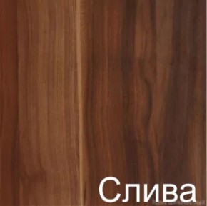 Стол-книжка (1-65) (ГК) в Советском - sovetskij.mebel-e96.ru