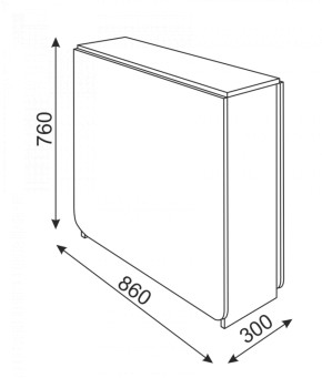 Стол-книжка прямая (Риннер) в Советском - sovetskij.mebel-e96.ru